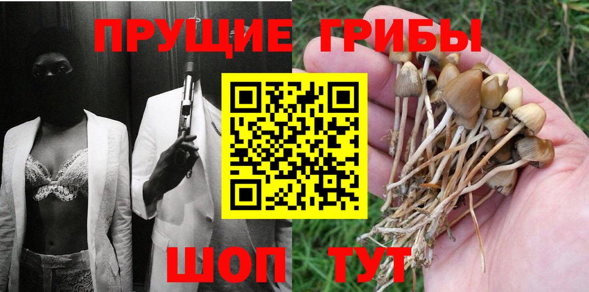Псилоцибиновые грибы ЛСД Красноярск